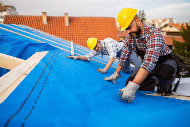 Best Roof Gutter Cleaning  in Point Lookout, NY